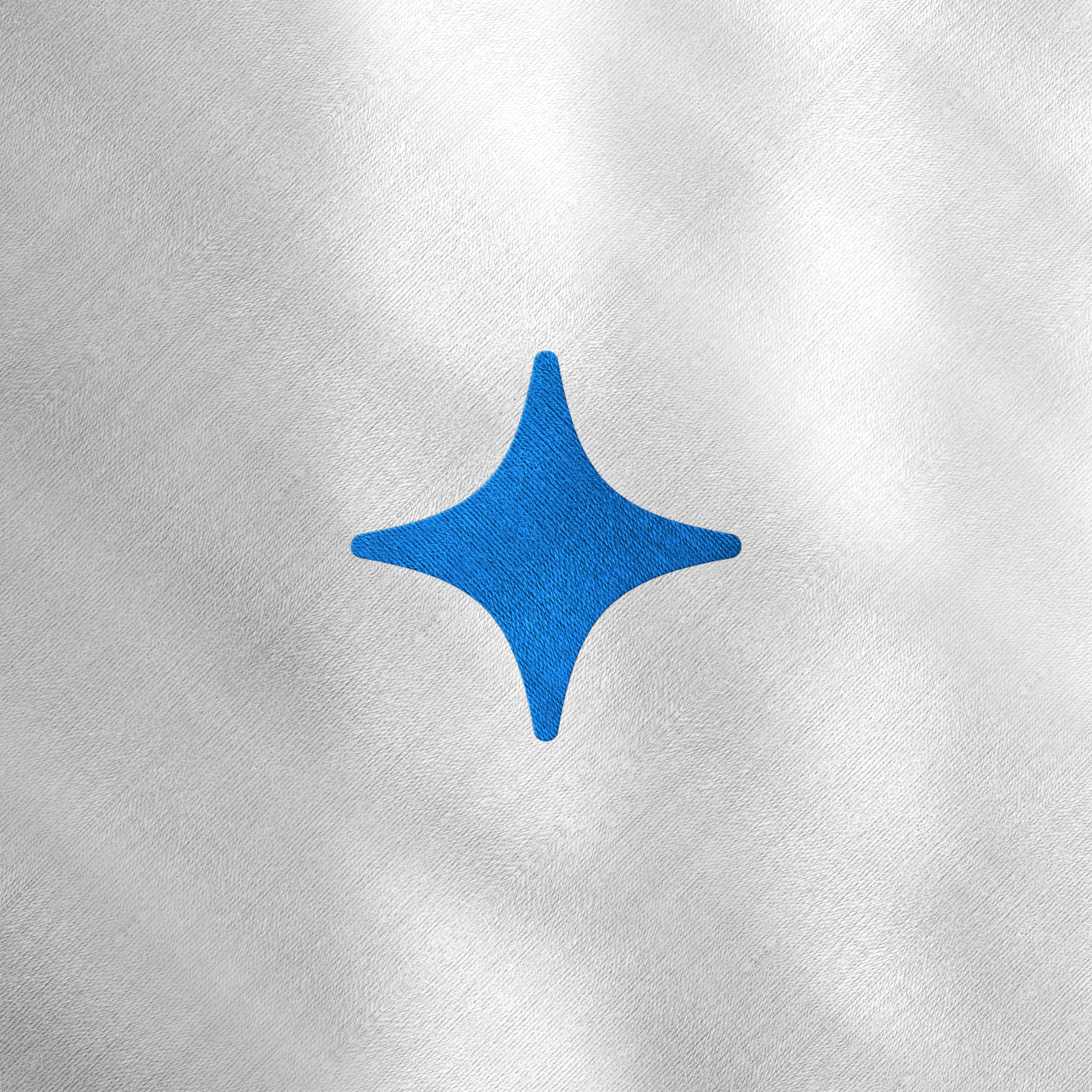 Embroidered Logo